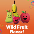 DenTek Fun Flossers – Kids Floss Picks with Wild Fruit Flavor, 90 Count Wild Fruit 90 Count (Pack of 1)