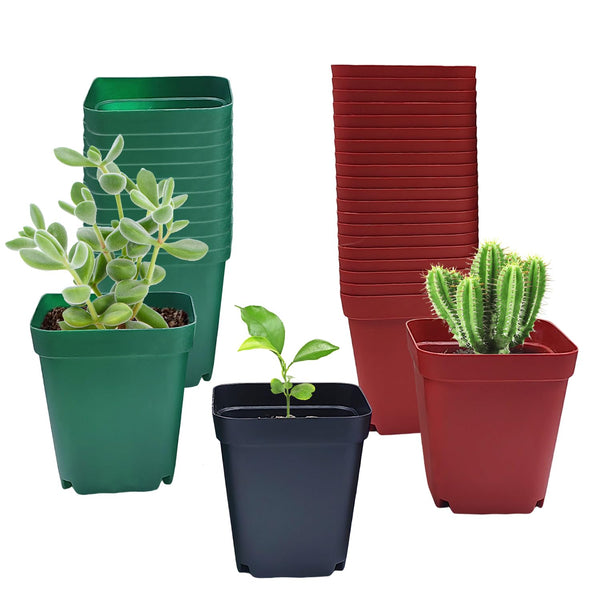 Square Plastic Nursery Pot 3" 120 Pcs Deep Succulent Pots Small Flower Planter Seeds Starter Pots with Drainage (Green,Black,Red 40Pcs Each,2.7Inches)