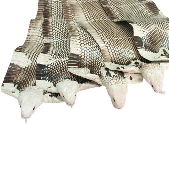 Cobra Snake Skin Snake Leather Hide Splitting Snakeskin with Head Cobra Taxiderm