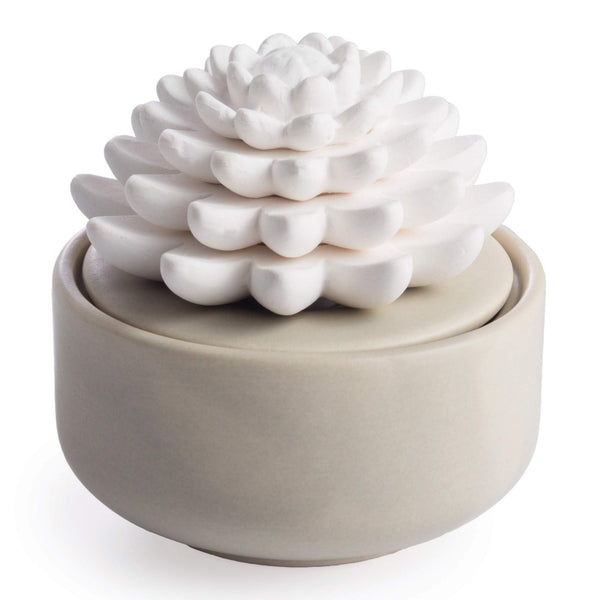 AiromÃÂ© White Succulent, Porcelain Passive Essential Oil Diffuser (With 15Ml Peppermint Essential Oil) Ã¢ÂÂ Non-Electric, Battery-Free, Improves