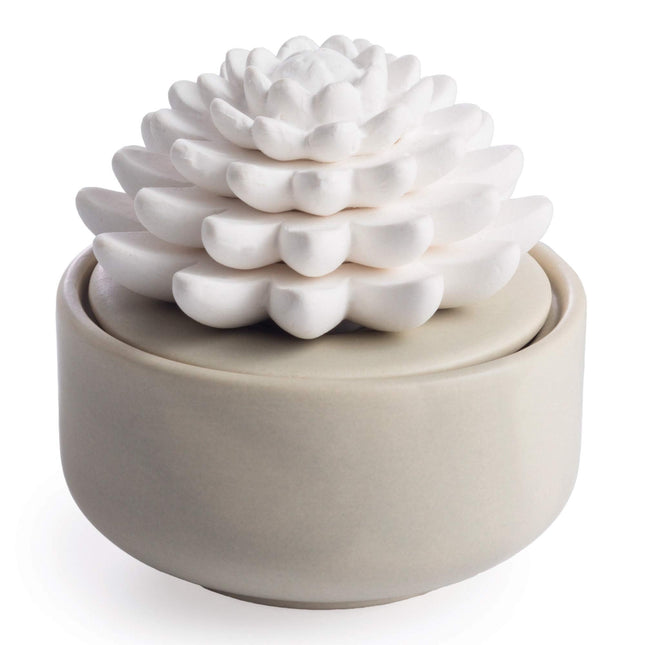 AiromÃ© White Succulent, Porcelain Passive Essential Oil Diffuser (With 15Ml Peppermint Essential Oil) â Non-Electric,