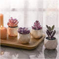 CADNLY Fake Succulent Plant Set - Artificial Desk Plants for Women Desk - Realistic Faux Succulents in Ceramic Pots - Mini Purple Decor for