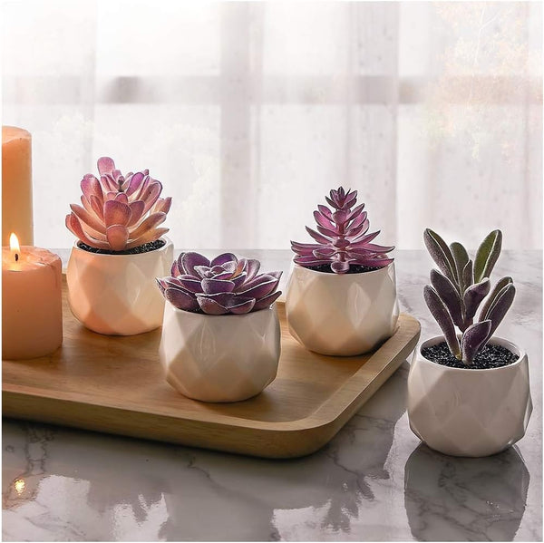 CADNLY Fake Succulent Plant Set - Artificial Desk Plants for Women Desk - Realistic Faux Succulents in Ceramic Pots - Mini Purple Decor for