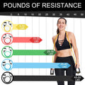 Resistance Bands with Handles, Exercise Resistance Bands, Workout Bands with Door Anchors, Adjustable Length, for Resistance Training, Physical