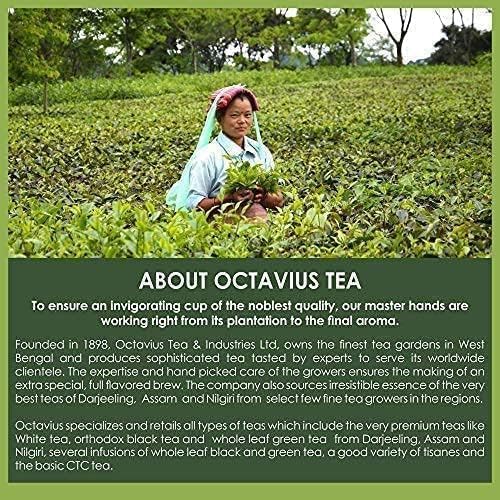 Octavius Tea Sampler Pack | 3 Assorted Green Tea | Cinnamon Anise/Lemon/Pure Green | Assortment Tea Sampler Variety Pack | 50 Bags | Perfect for