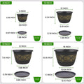 Usocik 8 Inch Retro Plant Pots 6 Pack with Drainage and Saucers Gold | Gold retro PP pots with drainage holes and saucers for herbs succulents