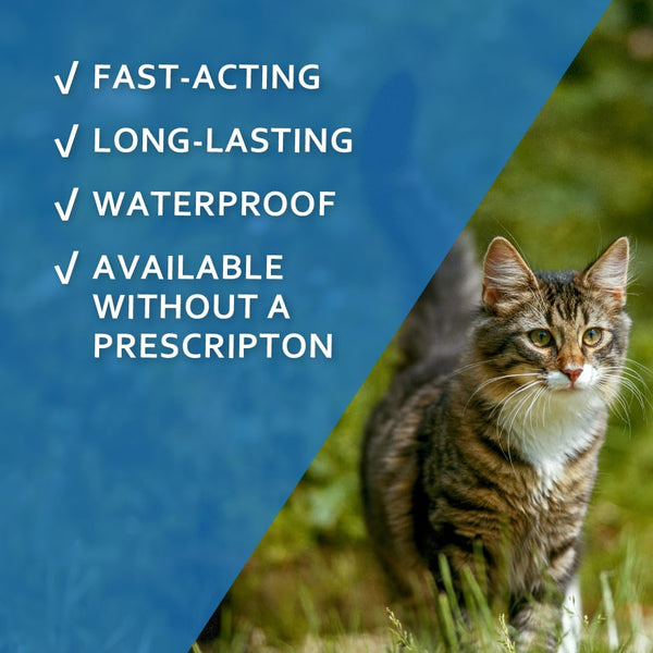 Sentry Fiproguard Flea & Tick Cats 1.5 lbs+, Fipronil, 6-Month | Ideal for Cats & Kittens 1.5 lbs+; Kills Fleas, Ticks & Chewing Lice for 30 Days;