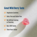 Nordic Naturals Vitamin D3 Gummies,1000 IU D3 + Iron, Wild Berry - 120 Count Wild Berry 120 Count (Pack of 1)