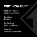 Power Up Premium Trail Mix - Protein Packed 14oz, No Added Sugar, Made Without Peanuts, Gluten Free, Vegan, Non-GMO Raisin 14 Ounce (Pack of 1)