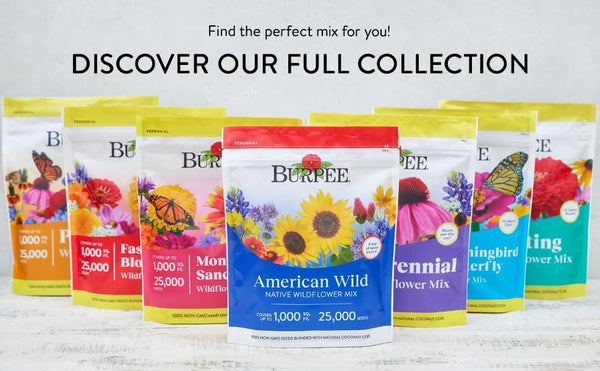Burpee Wildflower 25,000 Bulk, 1 Bag | 18 Varieties of Non-GMO Flower Seeds Pollinator Garden, Perennial Mix