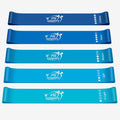 Fit Simplify Resistance Loop Exercise Bands with Instruction Guide and Carry Bag, Set of 5 Blue