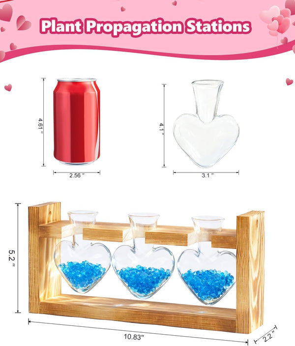 Nacome Plant Terrarium with Wooden Stand, 3 Heart Bulb Glass Vases Transparent
