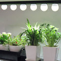 3 Pack Full Spectrum Grow Light Bulbs,A19 Grow Lights for Indoor Plants,Dimmable E26 9W Grow Bulb Replace up to 100W,Plant Lights for Indoor