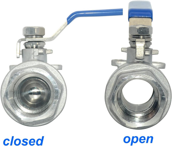 316 Stainless Steel 1/8"~3" Full Port Ball Valve with Blue Vinyl Handle, NPT Female x Female Thread,1000 WOG (2 Inch) 2 Inch (1 PC)