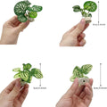 Smoothedo-Pets Fish Tank Decorations Aquarium Decoration Ornaments Accessories Betta Fish Hides Cave Rest Soft Leaf (Mix-Leaf-Set-C)