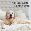 DMI Waterproof Mattress Protector, White, 36x80x6 Inch, Noiseless Plastic Fitted Hospital