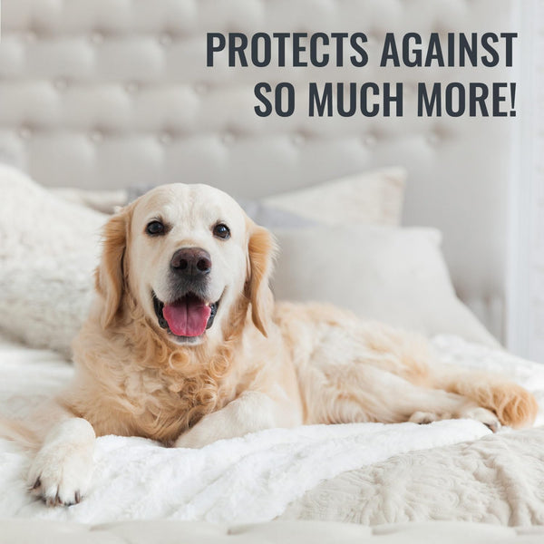 DMI Waterproof Mattress Protector, White, 36x80x6 Inch, Noiseless Plastic Fitted Hospital