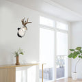 HSOSK Jackalope Mount, Jackalope Taxidermy, Deer Head Wall Mount, Resin Deer Head Animal Wall Art, for Home Wall Decoration