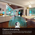 Kasa Indoor Pan/Tilt Smart Security Camera, 1080P HD Dog-Camera,2.4Ghz with Night Vision,Motion Detection for Baby and Pet Monitor, Cloud & SD