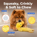 Best Pet Supplies Interactive Squeaky Dog Chew Toy, Ideal Dog Toys for Chewers, Small, Medium & Large Dogs, and Fetch Lovers - Crinkle Duck