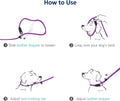 WePet Dog Training Slip Leash, No Pull, Durable Reflective Lead, Puppy Heavy Duty Loop Rope, Comfortable Handle, 6 ft, 1/2 inch, diam.