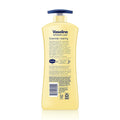 Vaseline Intensive Care Essential Healing Lotion 20.3 Oz (Pack of 5)