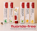 Red Seal Propolis Fluoride Free Natural Toothpaste - Mild Mint - 3.53 oz Natural Propolis 3.5 Ounce (Pack of 1)