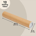 Stockroom Plus Mailing Tubes - Poster Storage Capacity - Blueprint Tube Protection - Spiral Construction & Thick Cardboard Strength - 2 in x 12