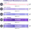 Resistance Bands Workout Set: 5 Levels Pull up Assist Bands 5-130Lb with Handles & Door Anchor