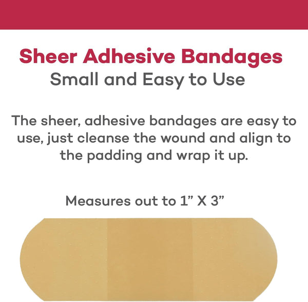 Dealmed Sheer Plastic Flexible Adhesive Bandages – 100 Count (2 Pack) Bandages with Non-Stick Pad, Latex Free, Wound Care for First Aid Kit, 1" x