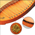 16pcs Gold Tuning Pin with L-shape Wrench Gooseneck Hammer Lever | With Dust-free Cloth,Widely for Lyre Harp, Zithers, Harpsichord Dulcimer, and