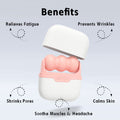 Leeshine Ice Roller Set for Face and Eyes - Facial Skin Care Tools with 2 Cold Therapy Face Roller and Premium Travel Case, Self Care Gift for Men