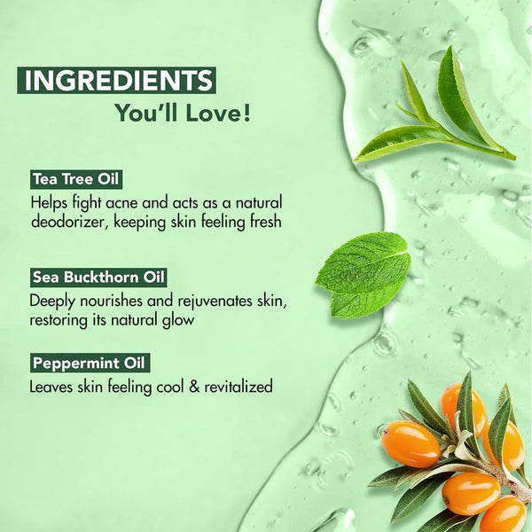 Botanic Hearth Tea Tree Body Wash, 16 Fl Oz (473 ml) Pack of 2 | With Tea Tree Oil, Peppermint & Sea Buckthorn | Gently Cleanses, Refreshes &