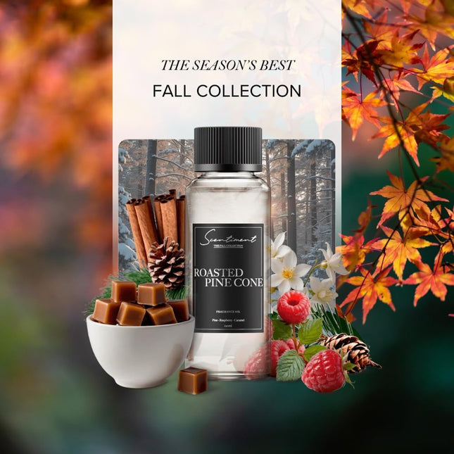 Roasted Pine Cone Fall Collection Diffuser Oils | Aromatherapy Home Fragrance | Luxurious Scent with Notes of Pine, Rasp