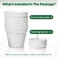 T4U Plant Pots Indoor 6 Inch 8 Pack, Plastic Flower Pots with Saucer White 6 inch White