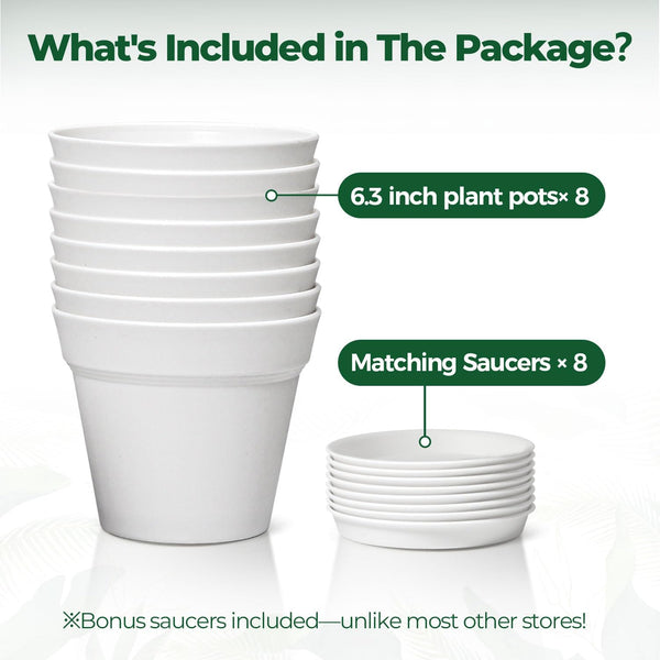 T4U Plant Pots Indoor 6 Inch 8 Pack, Plastic Flower Pots with Saucer White 6 inch White