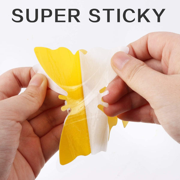 Fruit Fly Traps Fungus Gnat Traps Yellow Sticky Bug Traps 36 Pack No Harm and Odorless for Indoor Outdoor Use Protect The Plant 36 Pack-A Yellow