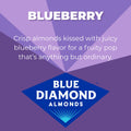 Blue Diamond Almonds, Oven Roasted Blueberry, 1.5 Ounce (Pack of 12) Blueberry 1.5 Ounce (Pack of 12)