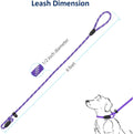 WePet Dog Training Slip Leash, No Pull, Durable Reflective Lead, Puppy Heavy Duty Loop Rope, Comfortable Handle, 6 ft, 1/2 inch, diam.