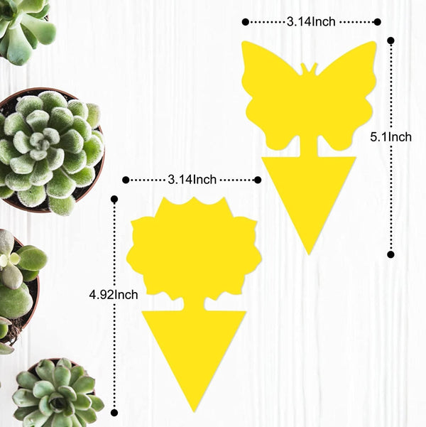 36 Pack Fruit Fly Trap for Indoors, Fungus Gnat Killer Indoor Sticky Traps for Mosquito, Bug Insect Catcher Killer for Houseplant