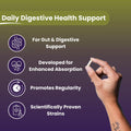NutriZing Vegan Probiotics for Digestive Health - 30 Billion CFU & 16 strains - Bifidobacterium & Lactobacillus Probiotics for Men & Women -