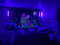 Black Light Bar 10W 1ft LED Blacklight for Fluorescent Tapestry Poster Body Paint Glow Party UV Strip Lights for Cabinet and Display Magnetic