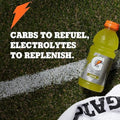Gatorade Thirst Quencher, Lemon-Lime, 20 Fl Oz (Pack of 8) | Electrolyte Drink, Hydration Lemon Lime 20 Fl Oz (Pack of 8)
