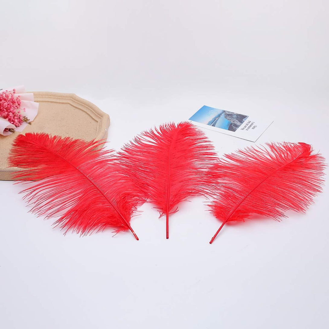 24Pcs Natural Bright Red Ostrich Feathers 10-12Inch (25-30Cm) for Wedding Party Centerpieces，Flower Arrangement and Home Decoration.