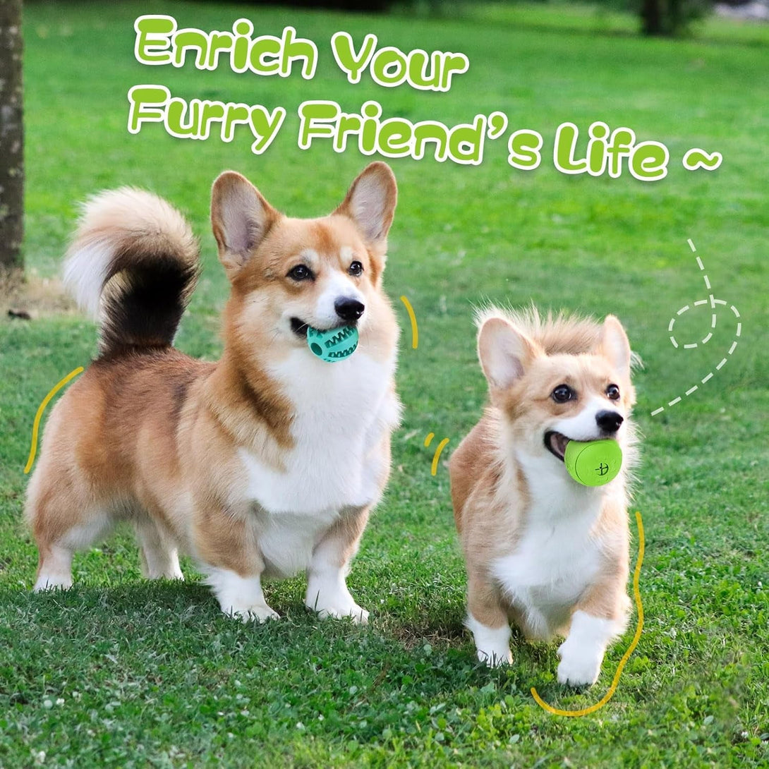 HIPPIH Dog Puzzle Toy 2 Pack, Interactive Dog Toys for Treat Dispensing, Durable Puppy Toys for Teething, Dog Treat Ball for Teeth/Slow Feeder/Iq Training/Playing, Blue-2.75‘’, Green-3.14‘’