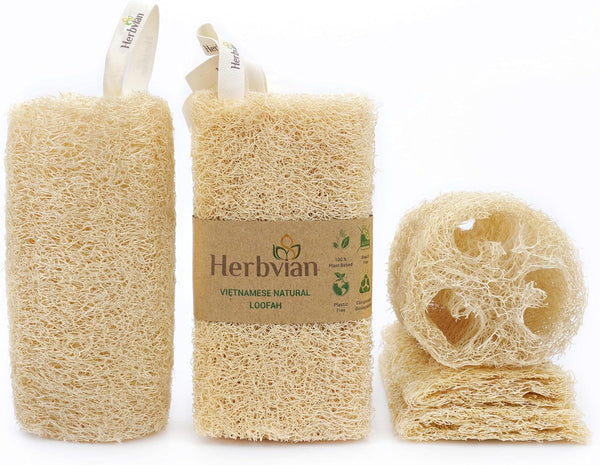 Natural Vietnamese Loofah Sponge, 100% Plant-Based Luffa Exfoliating Body Scrubber for Shower, Multi-Functional for Kitchen, Ideal for Men & Women, Spa & for Pet (Pack 4)