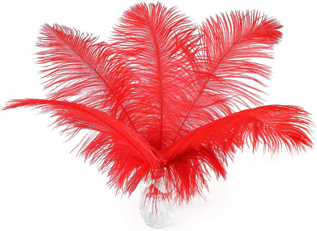 24Pcs Natural Bright Red Ostrich Feathers 10-12Inch (25-30Cm) for Wedding Party Centerpieces，Flower Arrangement and Home Decoration.