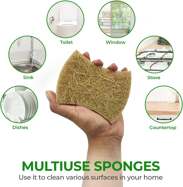 AIRNEX Natural Kitchen Sponges (12 Pack) - Biodegradable Cellulose & Coconut Scrubber Dish Sponge for Kitchen - Eco-Friendly, Non Scratch,