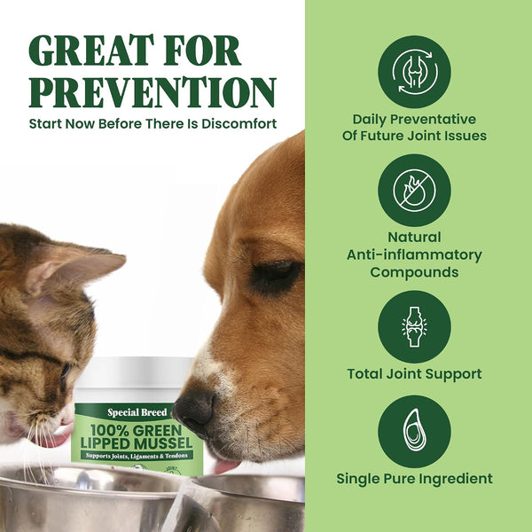 Green Lipped Mussel Powder for Dogs & Cats - 100% New Zealand Green Lipped Mussels - Natural Hip & Joint Supplement for Joints, Tendons,