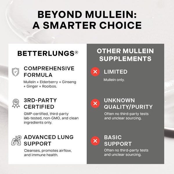 Betterbrand Mullein Tea Bags for Lung Detox - Respiratory Support with Thyme, Elderberry, Ginseng, Ginger, Caffeine Free Herbal Blend - 15 Tea